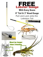 Yellow LOBSTER Snare Snair Tickle STICK Catch Bag Net bug Inn locking Loop gauge