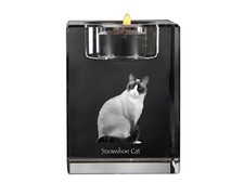 Schneeschuh-Katze - Candle Holder With Katzenfoto, Tea Light From Crystal, Pe