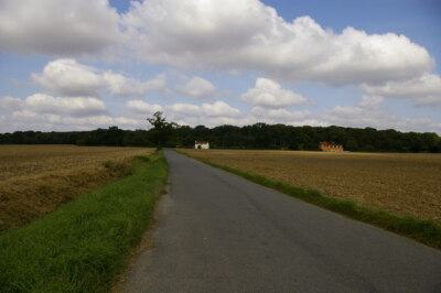 Foto 6x4 Bullenkreuz Holz Rundahorn Teil der Milden Thicks - der WH C2007