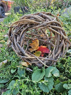 Natural Unique Handmade ''nest'' for Quail, Birds, small Pets,Decor, crafts,Plants