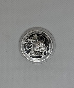 Una and the Lion Coin | eBay