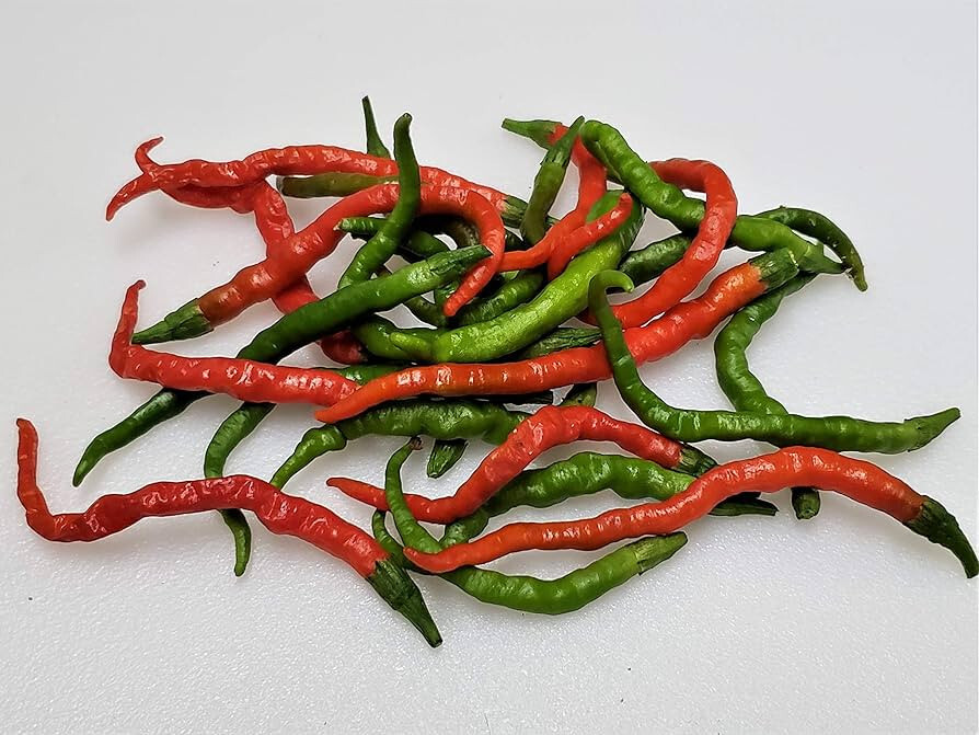 20 semi peperoncino ITORI TOGARASHI - semi freschi