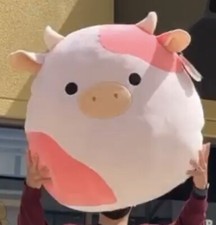 Reshma Pink Cow 24” Kellytoy Squishmallow NWT