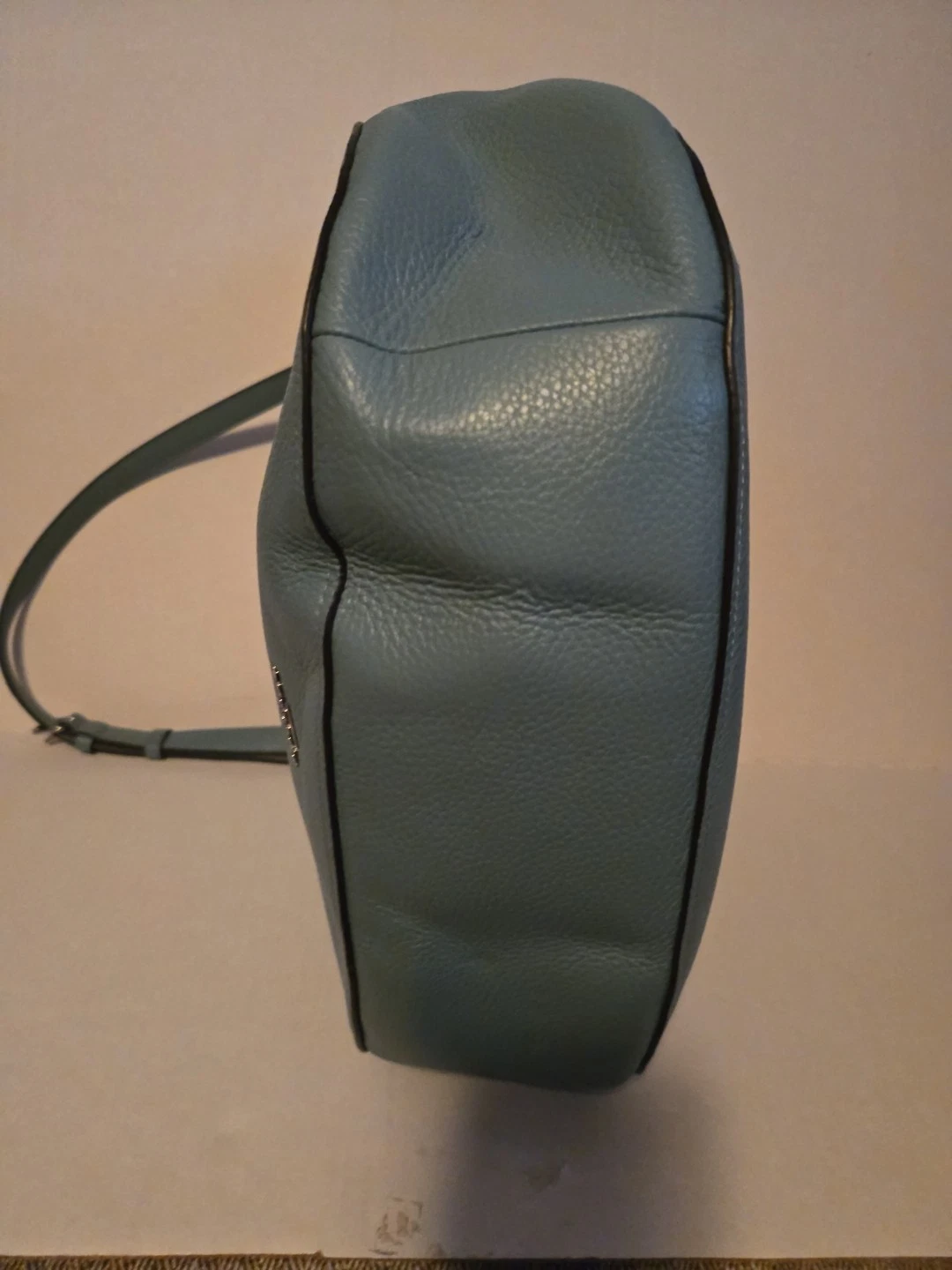 Borsa a tracolla Coach F31399 blu Ellie Hobo in pelle borsa a tracolla Coach in pelle