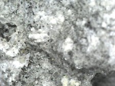 Minerali: Barite e Pirite prov. ex Miniera di Monte Arsiccio - Stazzema (LU)