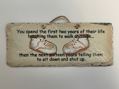 Plain Jane - Hand Cut Slate - Funny Wall Plaque - First Two Years