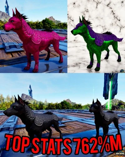 🦖ARK Survival Ascended Armadogo Top Stats PVE PS5/XBOX/PC