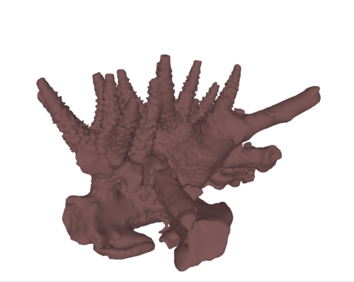 Acropora cervicornis Koralle 3D-gedrucktes Modell Probe Skulptur FARBE WÄHLEN - Bild 1 von 1