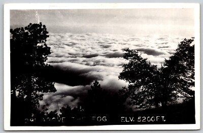 Above the Fog - Elevation 5200 Ft - Real Photo 1930-1950 Postcard 8296