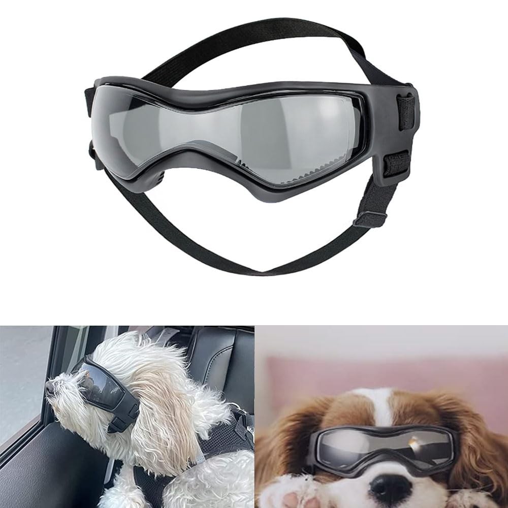 Lunettes de soleil pour chien pour balades en voiture décapotable