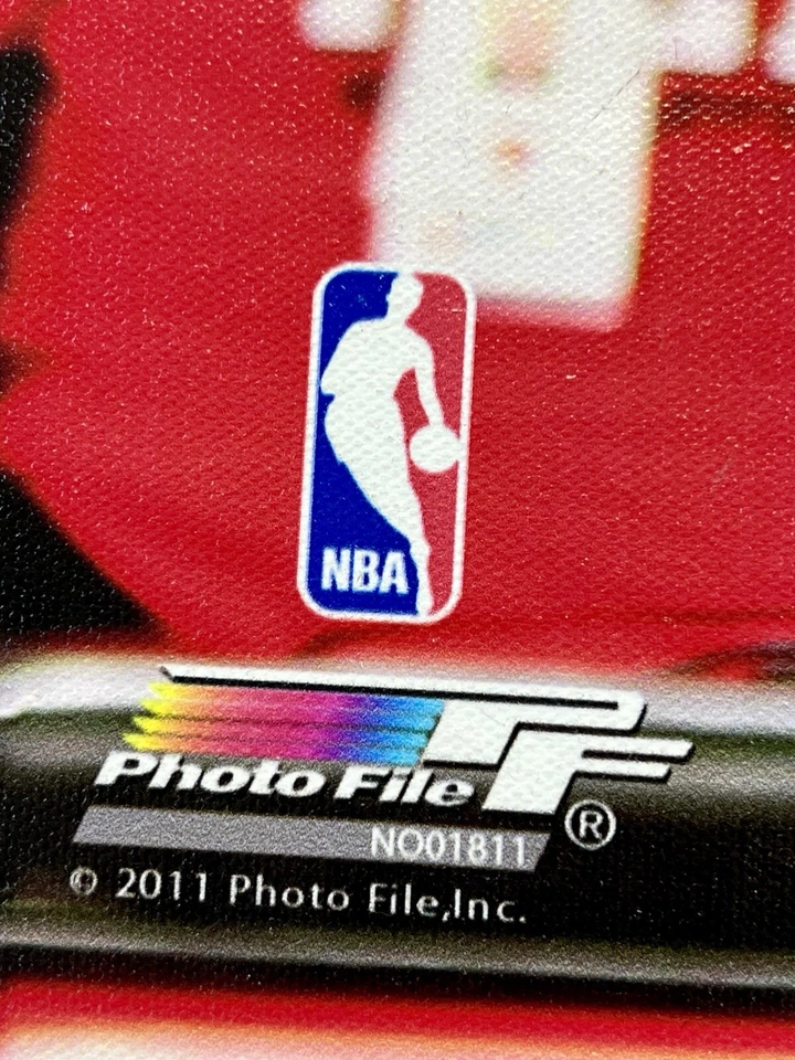 DERRICK ROSE SIGNED 20X24 PHOTOFILE CANVAS CHICAGO BULLS AUTO MVP - PSA/DNA COA - Image 4 of 4