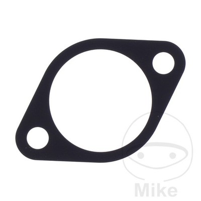 SIN MARCA Dichtung Steuerkettenspanner OEM