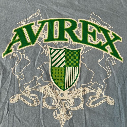 Vintage Y2K Avirex Grunge Skate T Shirt Size Mens XL Blue Green Spellout Tee