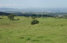 Photo 6x4 Farmland off Springhill Road Barrhead Looking towards the weste c2017