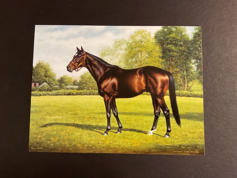 BOLD RULER 3 PHOTOS LOT  Horse Racing  CHAMPION SIRE  SECRETARIAT