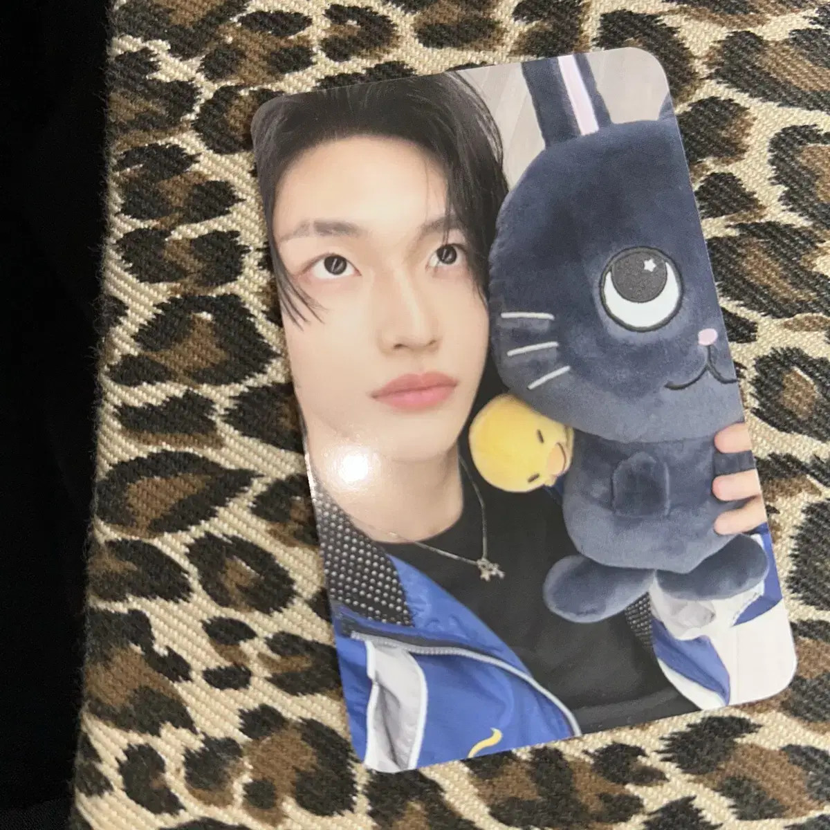 riize Wonbin Tonyangdeok Pouch Photo Card Photocard | eBay