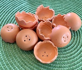 Hatchimals CollEGGtibles 10-Pack Mixed Lot Mini Figures w/ Egg Carton Case