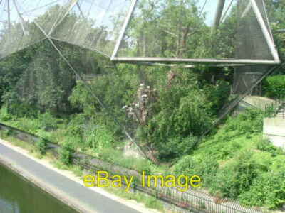 Foto 6x4 London Zoo Voliere und Regents Canal Camden Town aufgenommen von Insi c2008