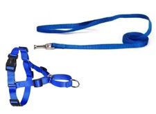 2 pc's Petco Nylon Lg Dog 5/8" 30 to 40" Harness + 6 ft Training Leash⭐NEW OTHER