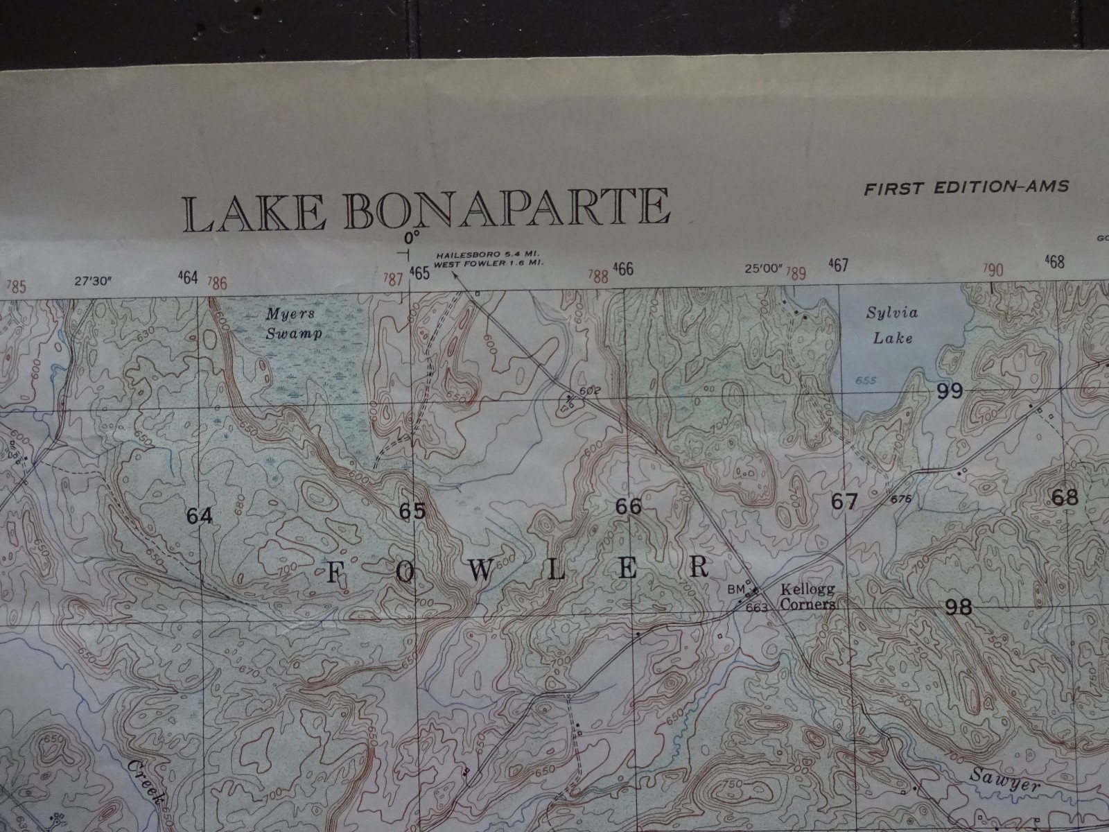 Купить 1951 Large/Antique Map of Lake Bonaparte, New на Аукцион из Америки с доставкой в