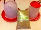 4kg Chick crumb + 1kg feeder+1.5L drinker chick,complete feed kit