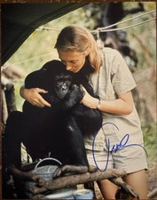 Jane Goodall signed Autographed Signature 8×10 matte photograph