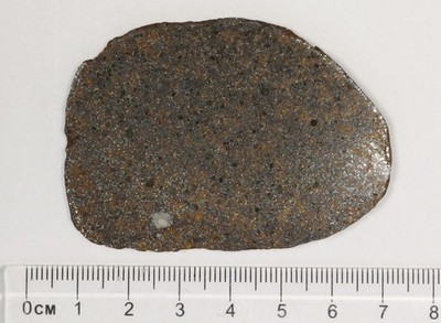 Meteorit Gao-Guenie -  Ordinary chondrite H5, beob. Fall  - Scheibe, 33,79 Gramm