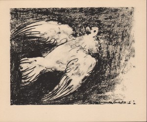 Resultado de imagen para Pablo Picasso palomas en vuelo