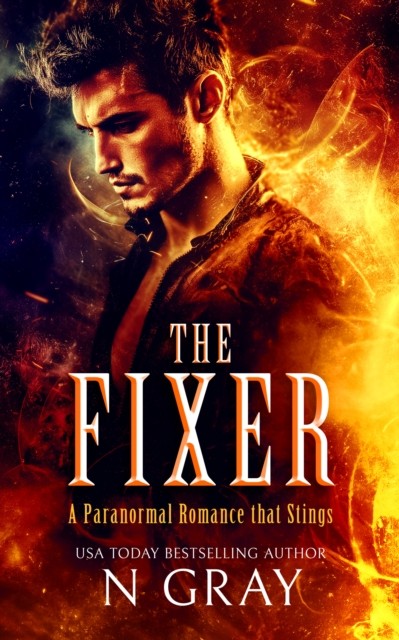 The Fixer by N Gray PAPERBACK 9781036702236