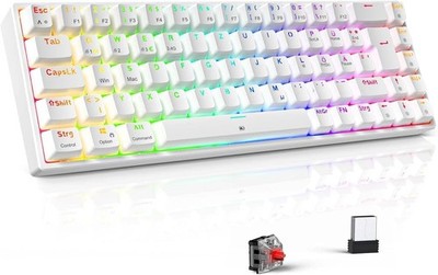 TECURS Gaming Tastatur Mechanische Kabellos Bluetooth RGB 65 QWERTZ Layout R