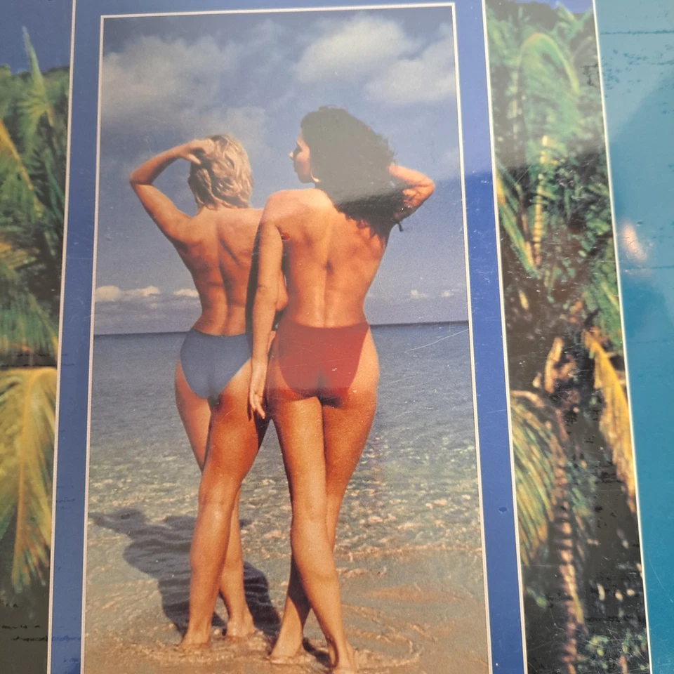 Birds In Paradise Laser Disc LD Unopened,  1994 After Dark Video NEW RARE - Image 3 of 4