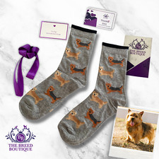 NORWICH TERRIER SOCKS FUN UNISEX ONE SIZE FIT UK 5-11 EU 38-46 US 7.5-12