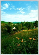 Postcard Vermont Grass Field and Houses Posted 1975