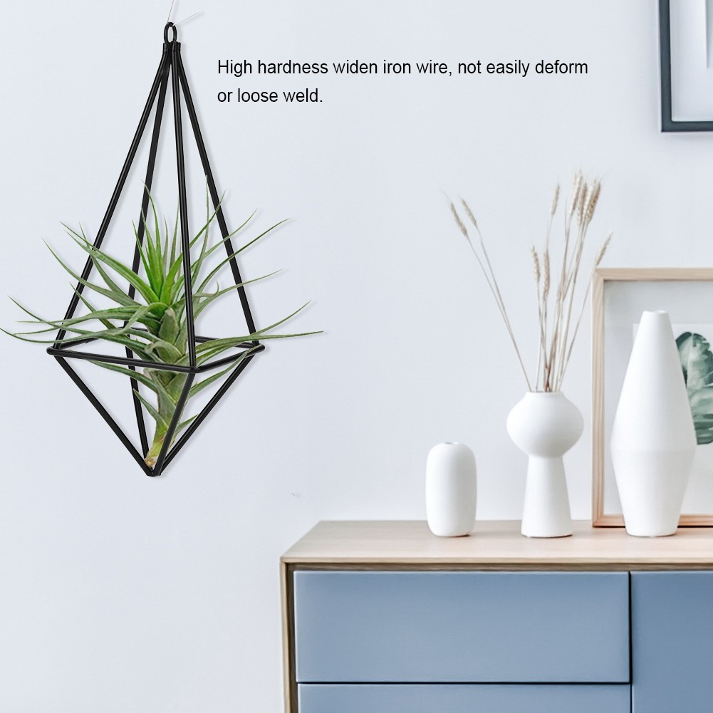 °Air Plant Holder Quadrilateral Hanging Tillandsia Rack For Room Decor(Black)