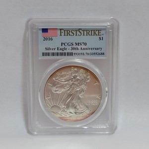 2016 Silver Eagle 30th Anniversary | eBay