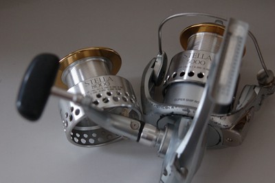 オープニングセール シマノ ステラ5000 リール スポーツ レジャー 12 744 Jkkniu Edu
