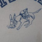 Picture 5 of 19