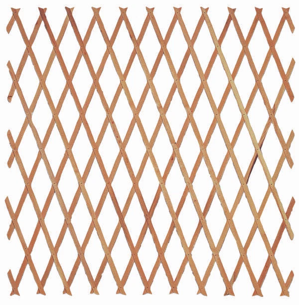 TRALICCIO IN LEGNO ESTENSIBILI MT 2X1 100X200 1X2 PER PIANTE RAMPICANTI (29994)