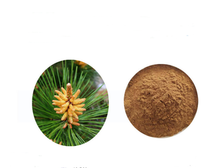 100g 强大的野生harvest Masson 松花粉提取物 1 萃取粉 Ebay