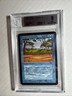 MTG Alpha Phantasmal Terrain BGS 9 Quad Mint  (all Mint sub grades) 1993