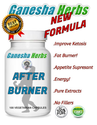 BIO FATBURNER - ABNEHMFORMEL 100 KAPSELN - OHNE FÜLLER!!!