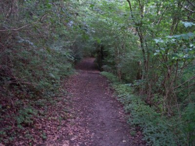 Photo 6x4 Old Road to Eastnor Ledbury Now a bridleway via The Holts to Ea c2005