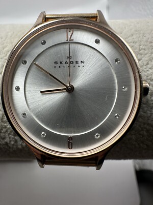 Skagen SKW2151 Ladies Watch Anita New Battery 30MM 8'' Rose Gold Mesh Band T94