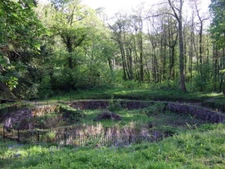 Photo 6x4 Penrice fishpond Penrice/SS4987 This was the stewpond for Penr c2009