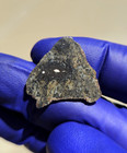 NWA 13636 Eucrite Unbrecciated Meteorite 1.476g Full Slice Rare w/ COA  — photo 3