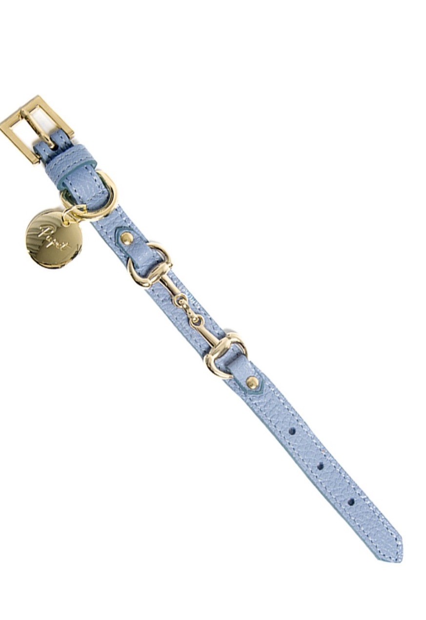 Collare Cane XS Pelle Azzurro - Morsetto Oro - Accessorio Fashion