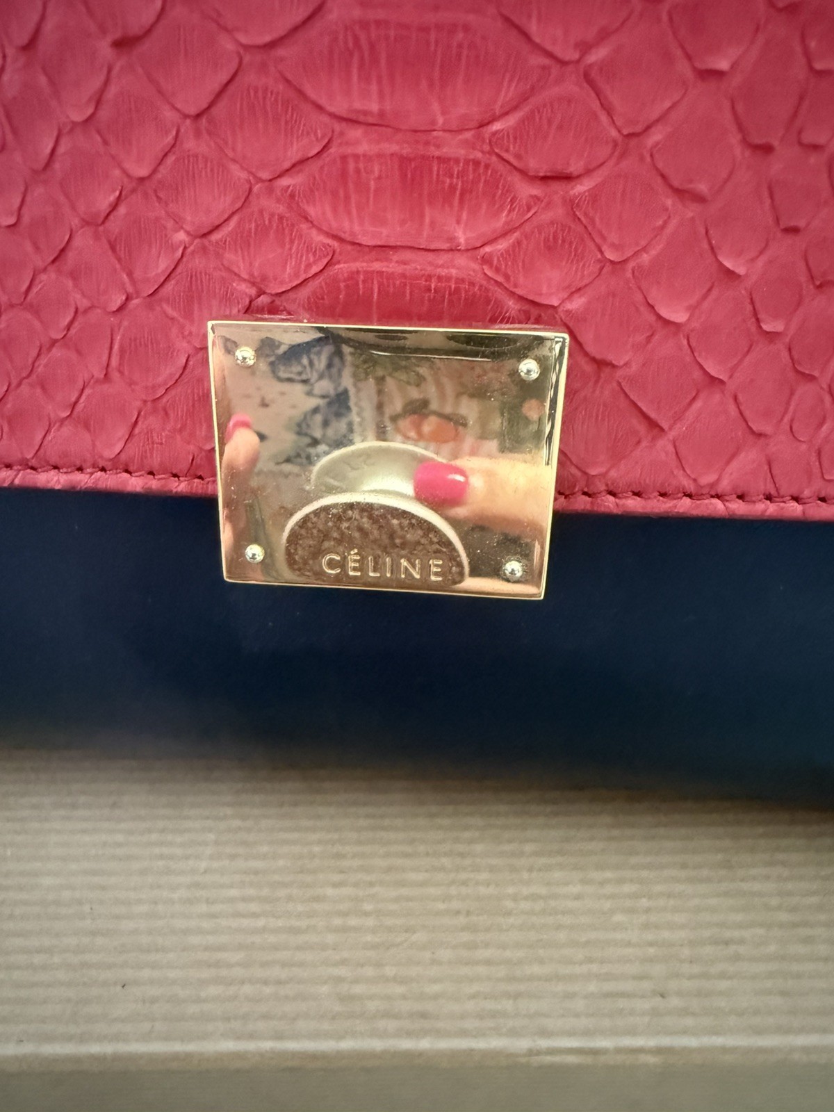 Celine Python Bag - image 3