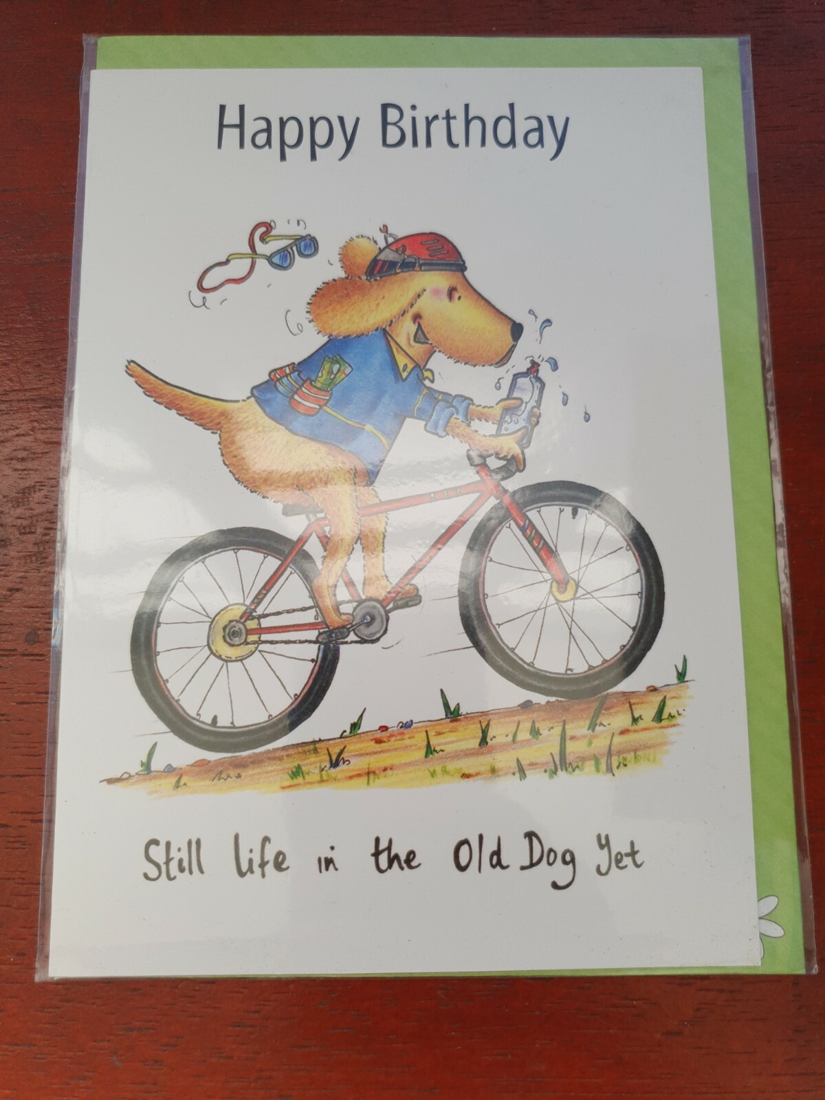 STILL LIFE IN THE OLD DOG YET birthday card cycling card Dog greetings card bike