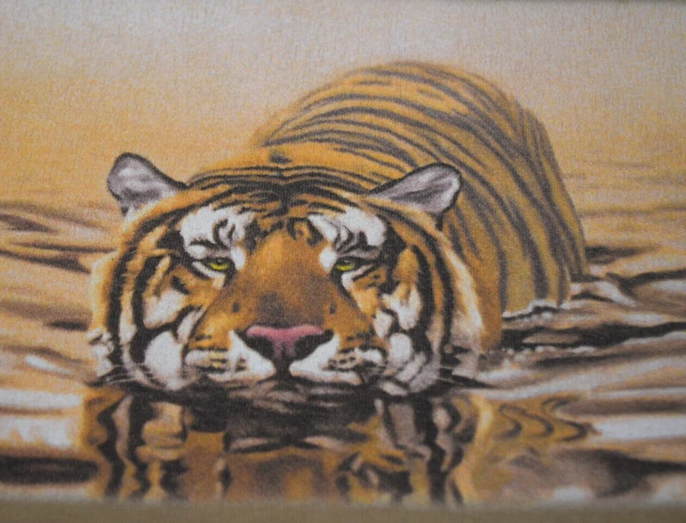 Camiseta Vintage Estampado Animal Yunque Tostado Talla M/L Años 90 Tigre Acechando en el Agua 1998 Foto 2 de 4