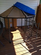Dog Gazebo